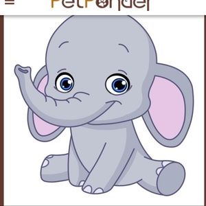 Meet your Posher, Tran